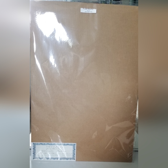 Nene Thomas Euphoria Horse Fairy Limited Edition Print Signed Numbered - Picture 12 of 15